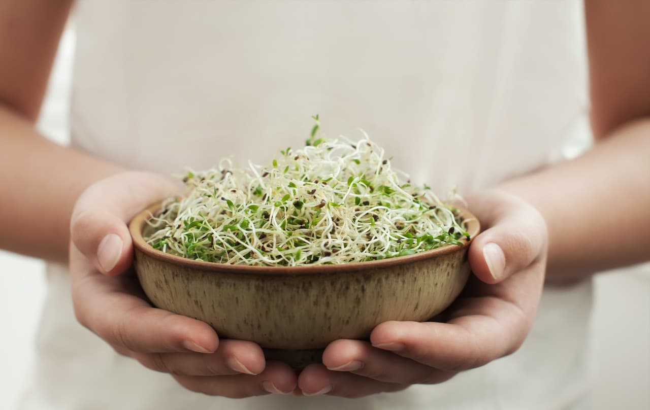Green Gram Sprouts Are A Great Weight-Loss Food