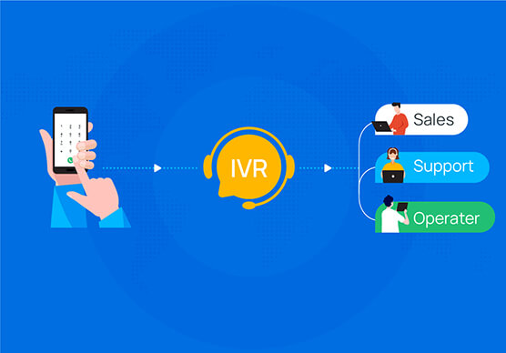 Define The Importance of IVR in The Fintech Sector