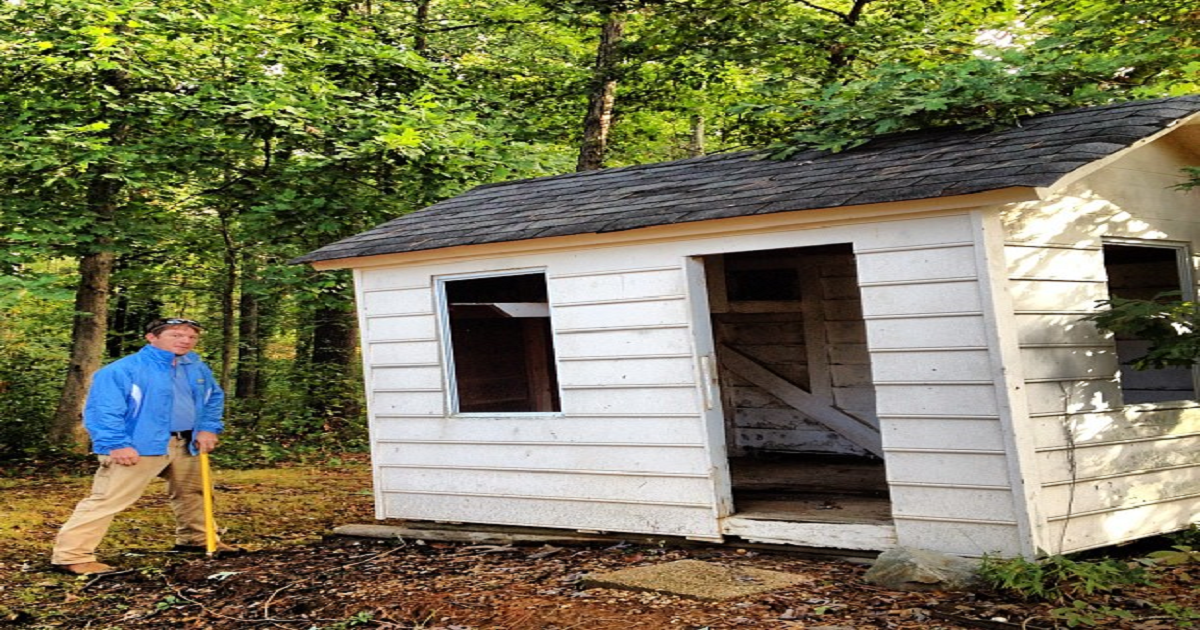 Shed Removal