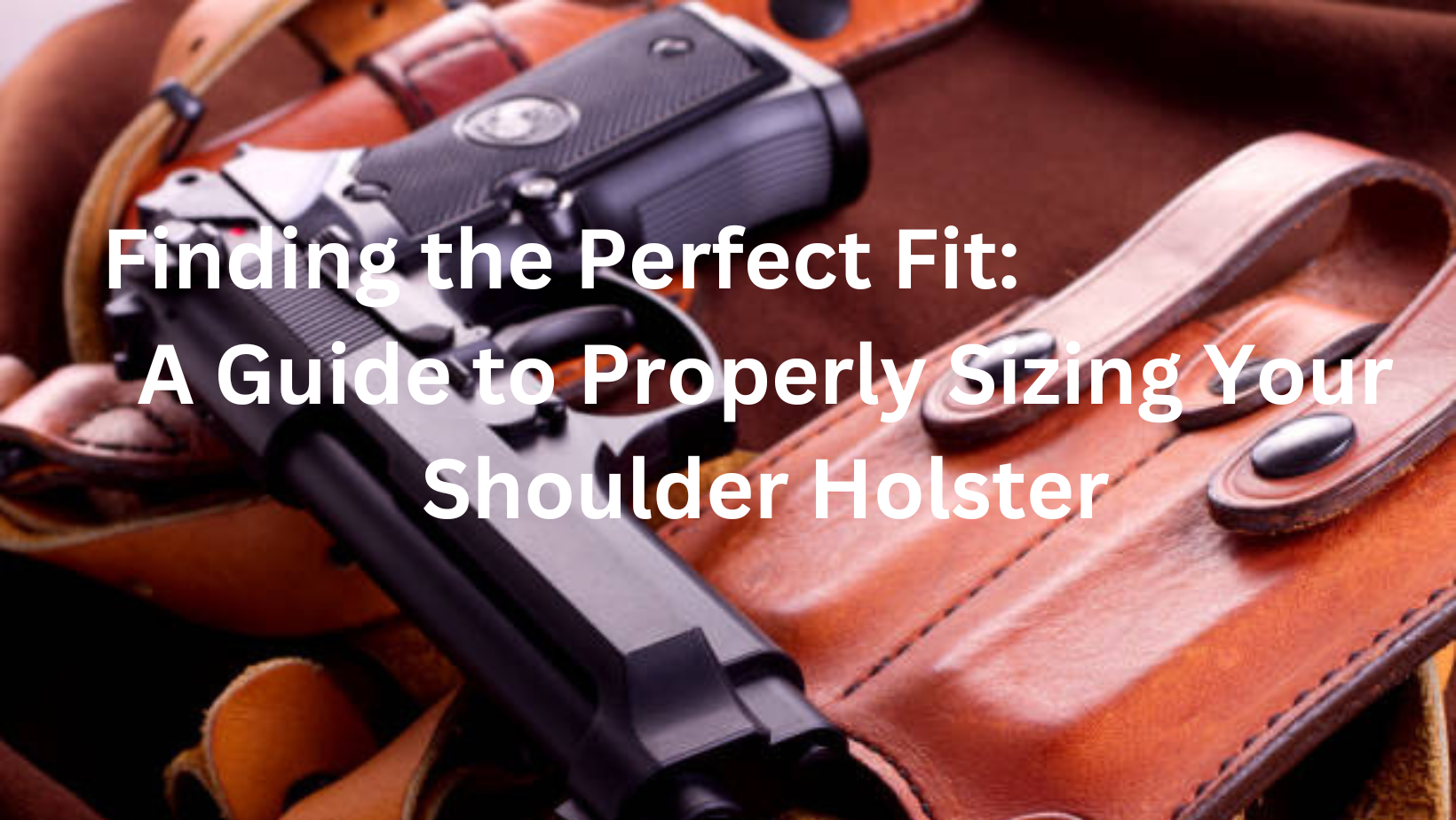 Shoulder Holster