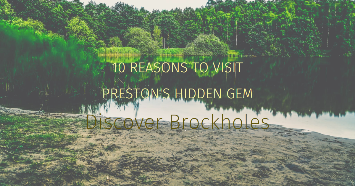 10 Reasons to Visit Brockholes, Preston
