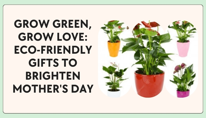 mother's day plants
