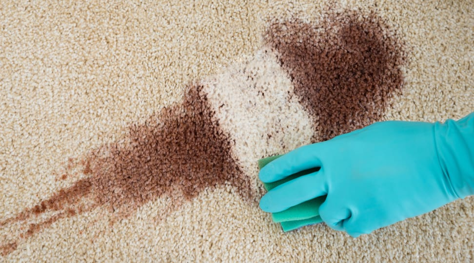 Carpet Stain Removal