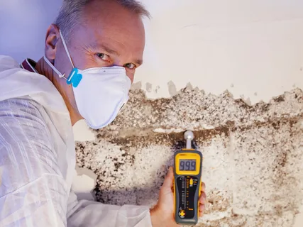 mold remediation