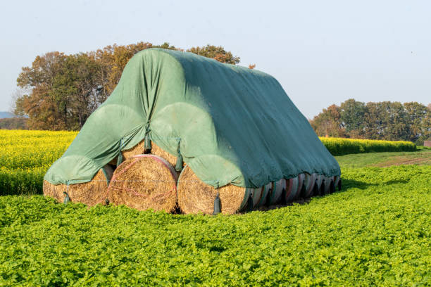 Heavy Duty Tarpaulins