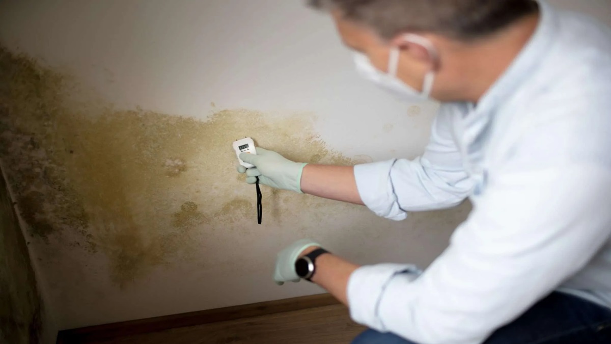 a man is checking the water leakage in the wall that will cause mold growth