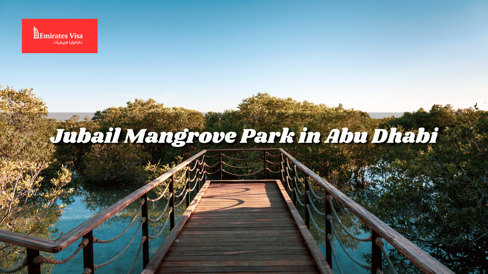 Jubail Mangrove Park in Abu Dhabi