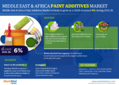 Middle East & Africa Paint Additives Market