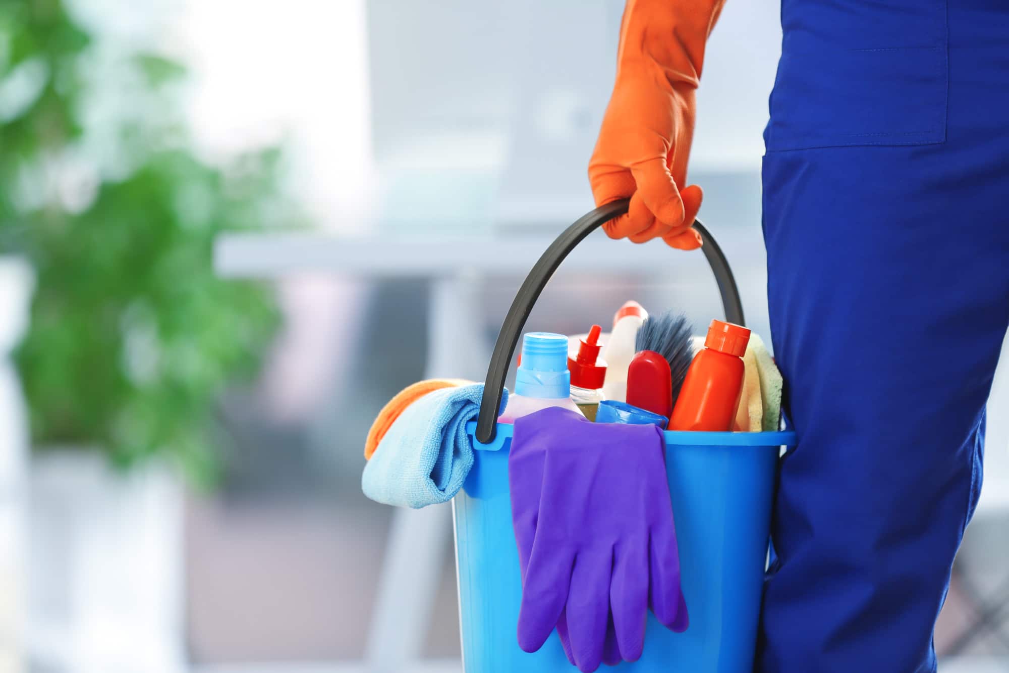 Cleaning Services in Tampa