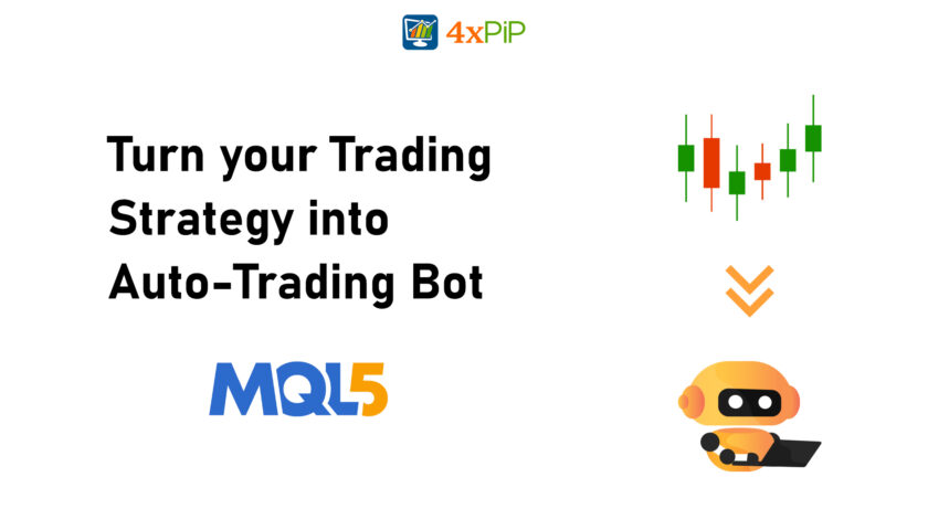 mql4-programmer-from-beginner-to-automation-master