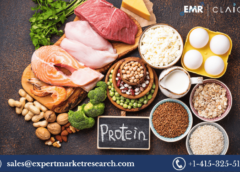 United States Animal Protein Market