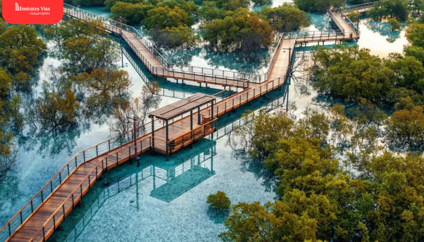 Jubail Mangrove Park in Abu Dhabi