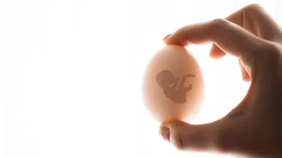 Egg Donation in India