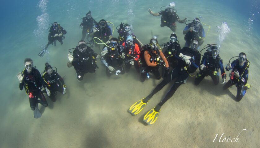 Scuba Diving Course