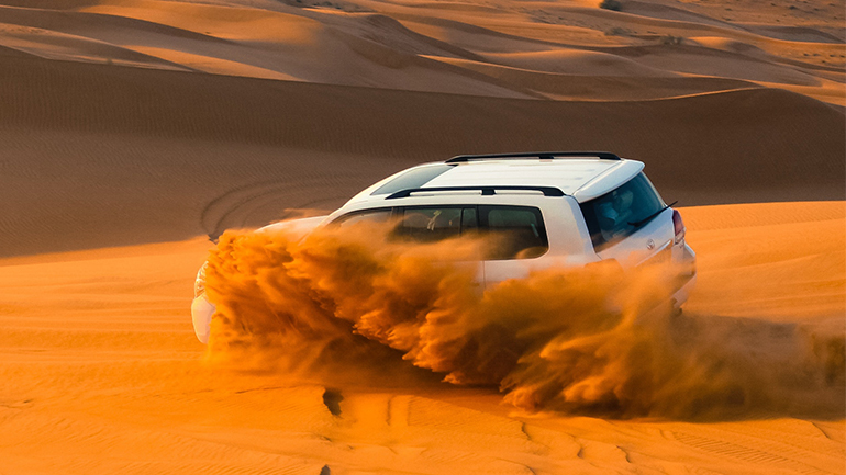 Dubai Desert safari