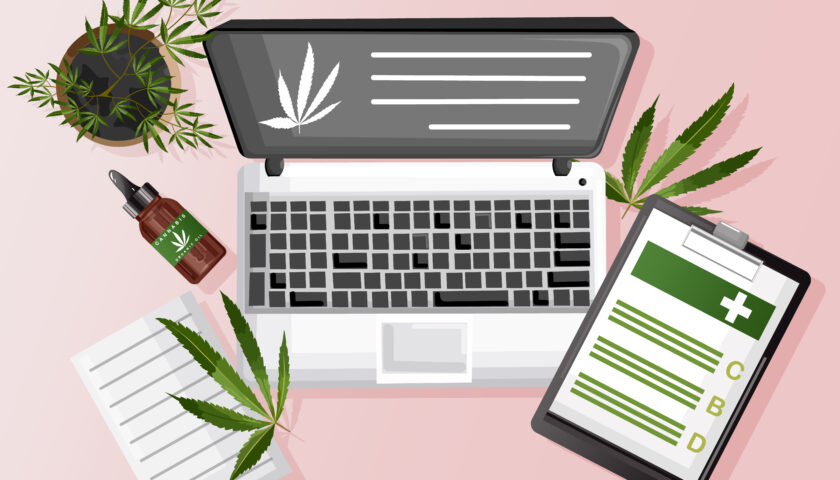 cannabis SEO agency