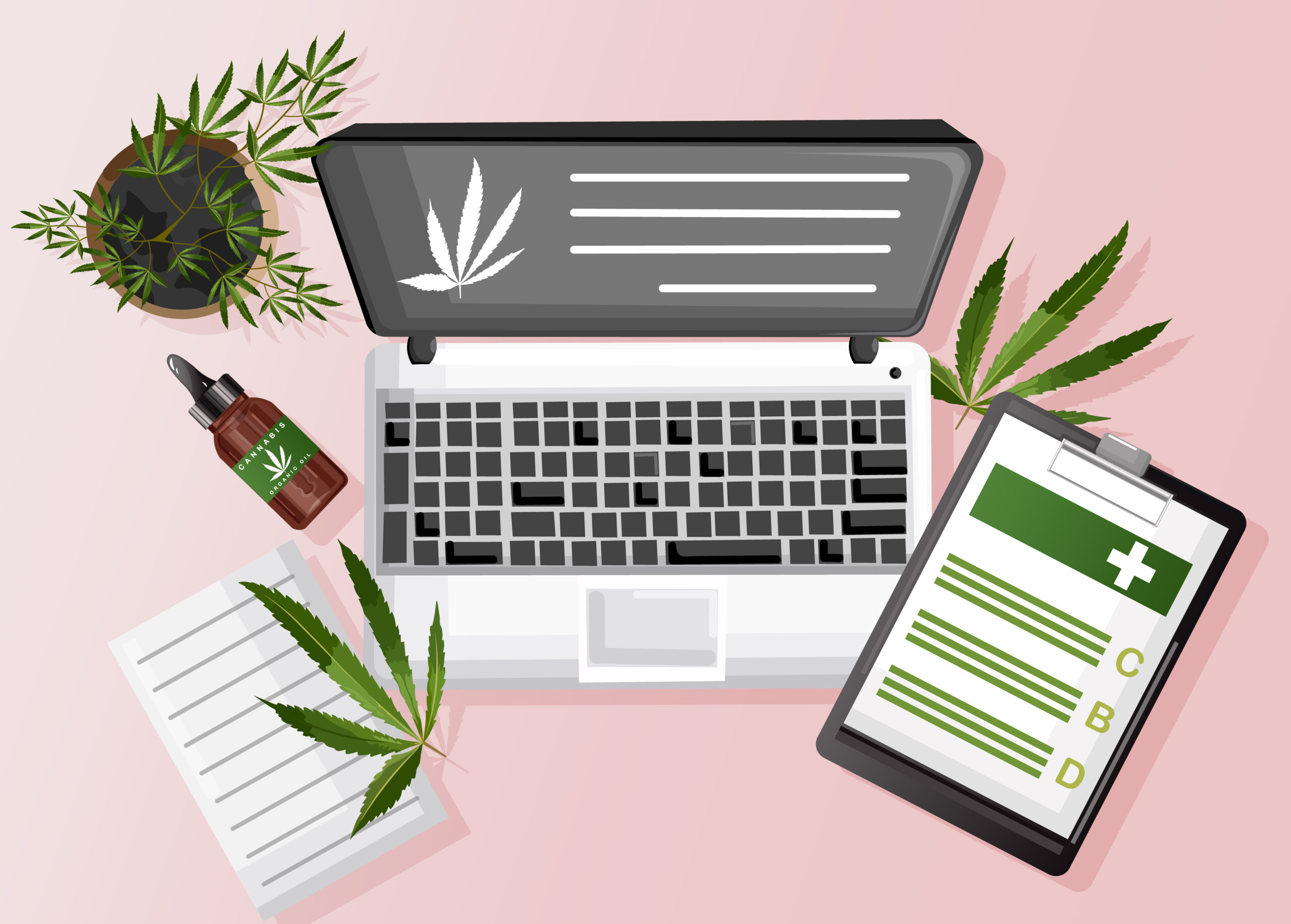 cannabis SEO agency