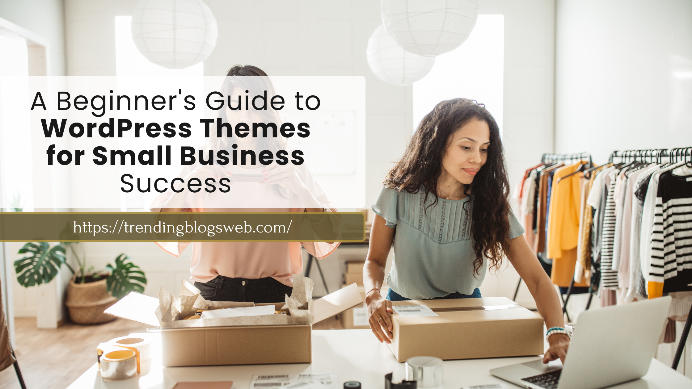 A Beginner's Guide to WordPress Themes for Small Business Success