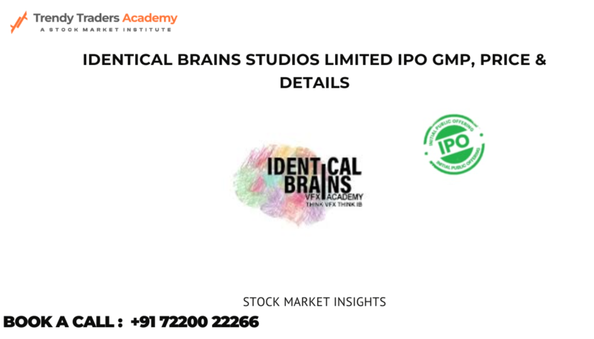 Identical Brains Studios Limited IPO