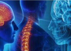 Brain and spine surgery in thane, Spine surgeon in thane, lifecareannexe