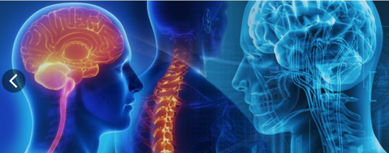 Brain and spine surgery in thane, Spine surgeon in thane, lifecareannexe