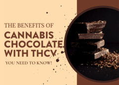 cannabis chocolate with THCV