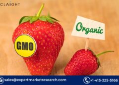 Non-GMO Food Market