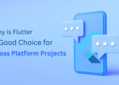 Why Is Flutter a Good Choice For Cross Platform Projects