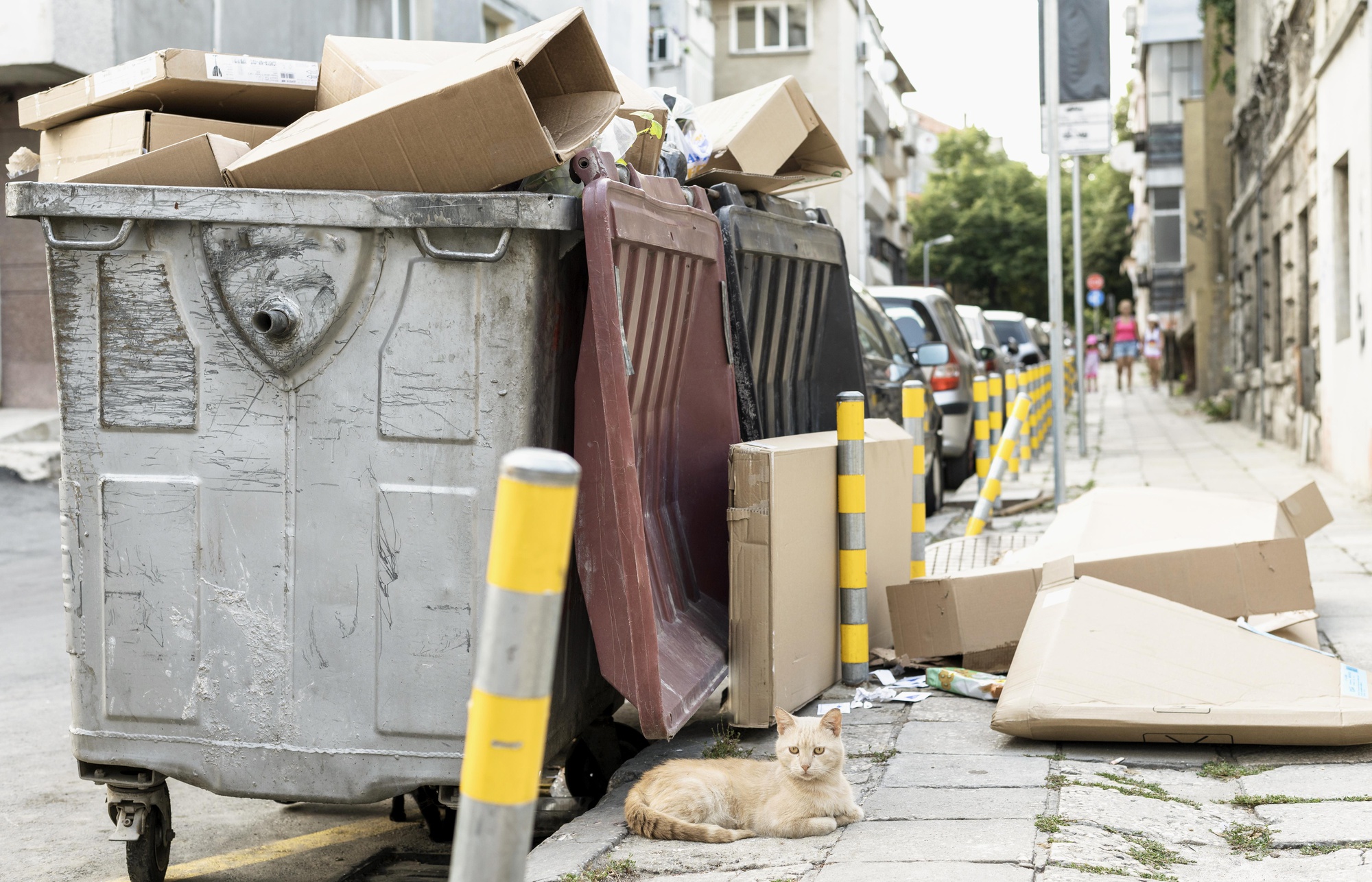 Efficient Junk Removal Services in Portland