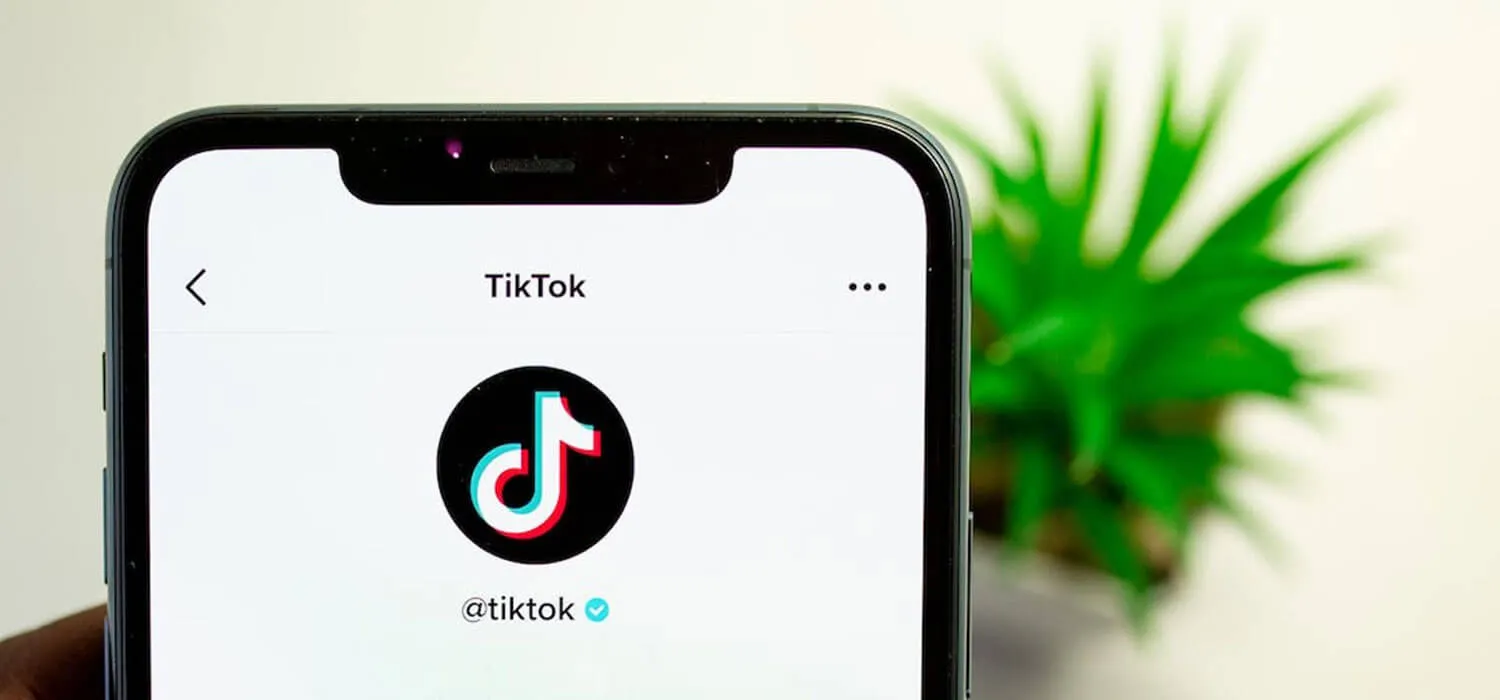 Boost Your Sales with TikTok