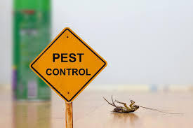 Combat Pest Control Tips