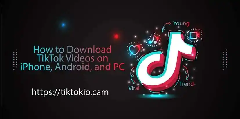 how-to-download-tiktok-video-with-tiktokio