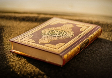 read Quran online