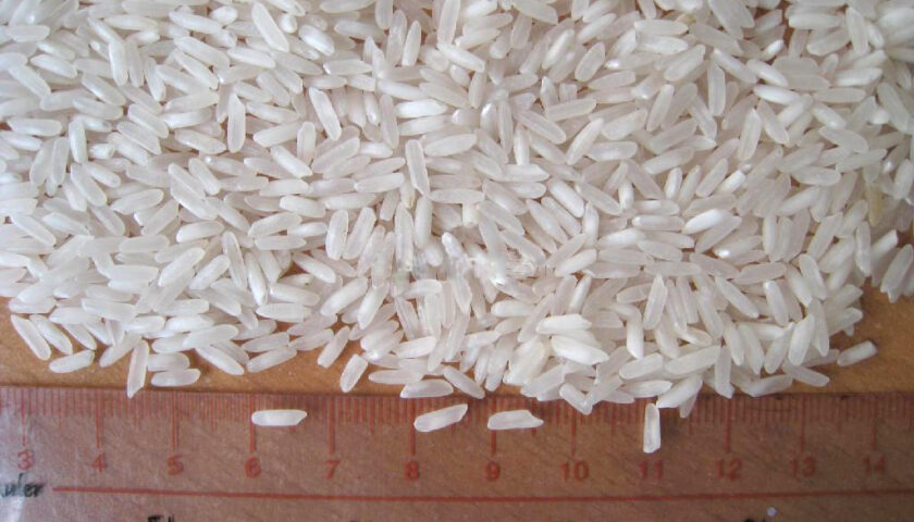 Long Grain Rice Suppliers