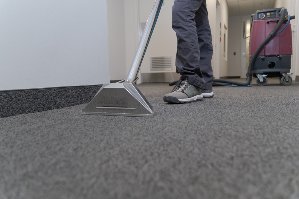 Affordable Carpet Cleaning Services in Metairie