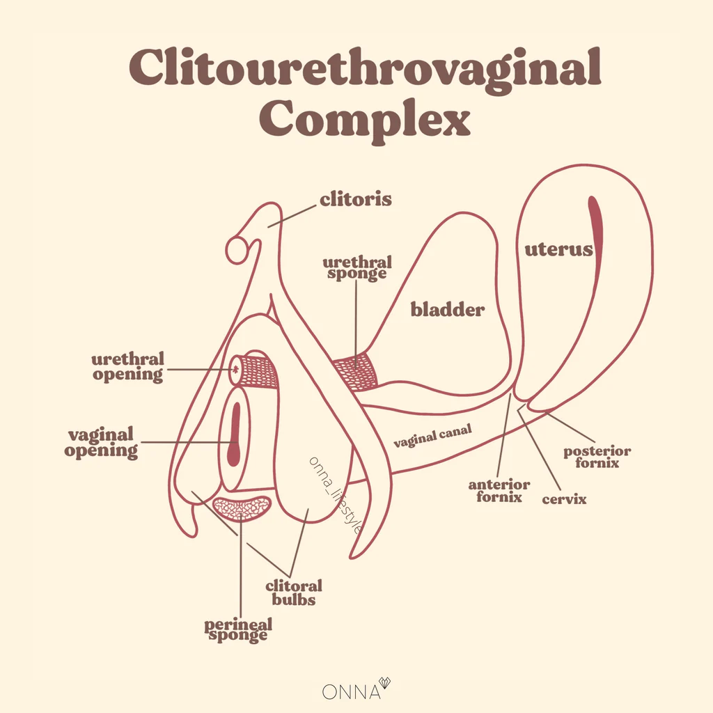 Cervix orgasms