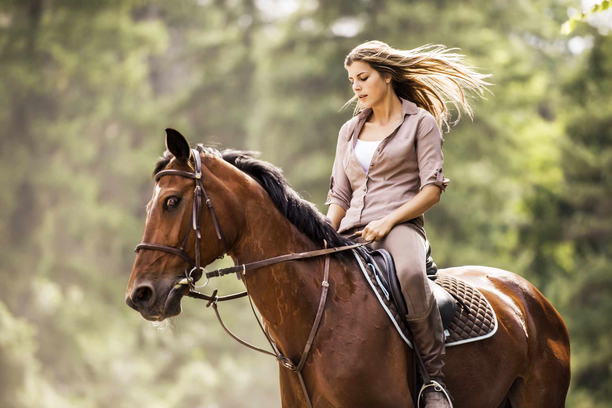 How to Choose Kentucky Horse Farm Bed and Breakfast