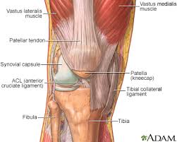 Muscle Weakness and Limited Motion