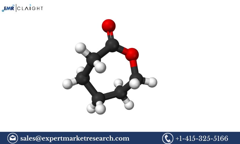 Polycaprolactone Manufacturing Plant Project Report