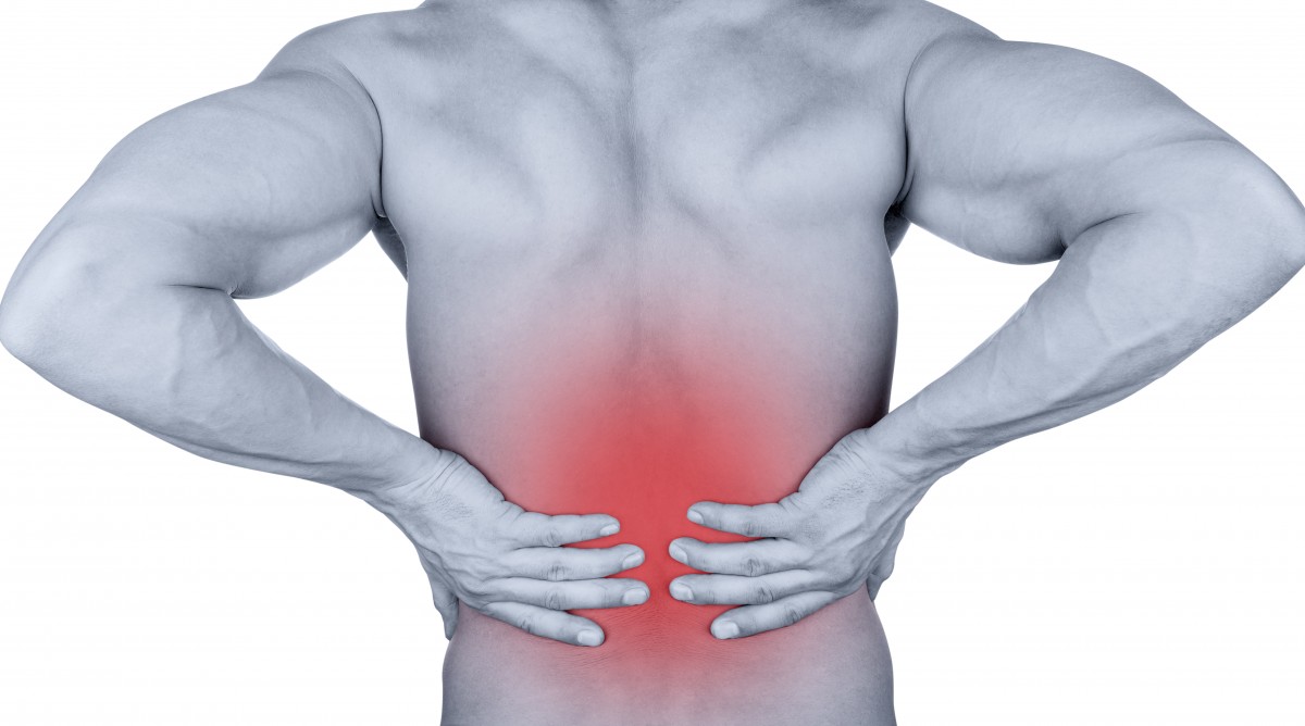 back pain specialist in Palatine