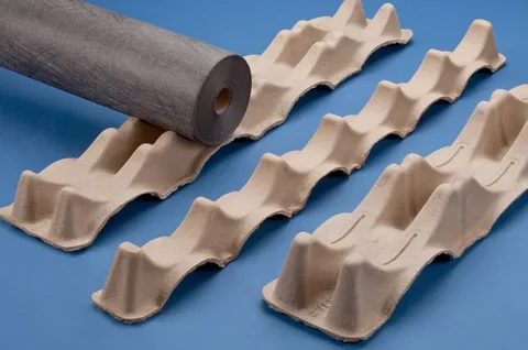 molded pulp support