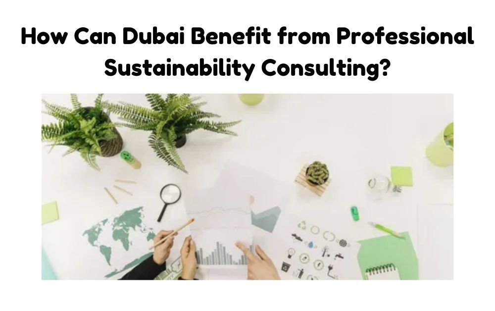 Sustainability Consultation in Dubai