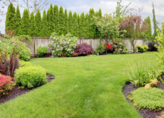 Landscaping Services in Cabramatta