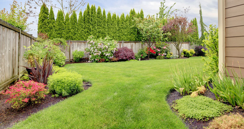 Landscaping Services in Cabramatta