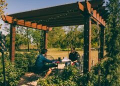 Opioid Rehab in Austin